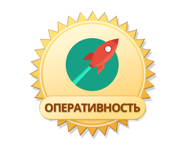 Гарантия оперативной доставки